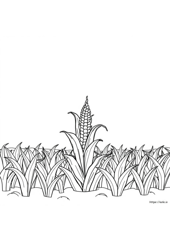 Corn Stalk Coloring Page
