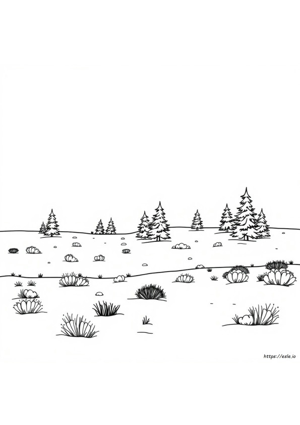 Tundra Coloring Pages