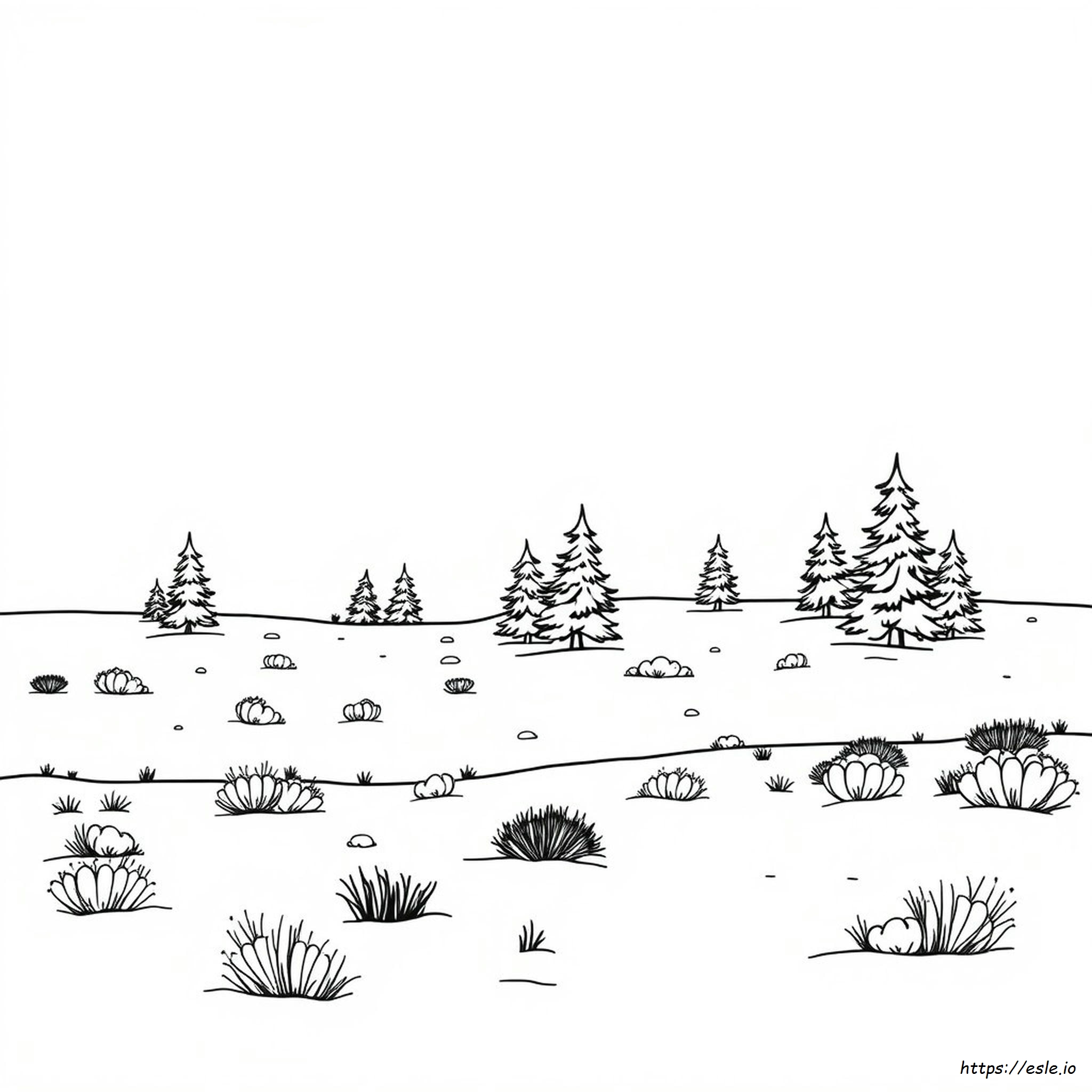 Tundra Coloring Pages
