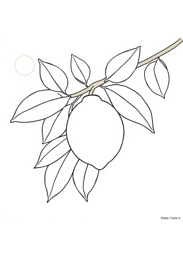 レモンの塗り絵