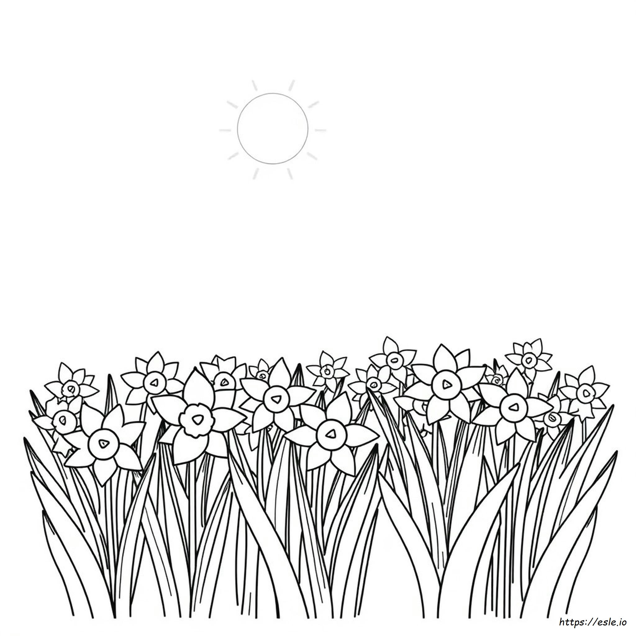 Do Daffodils Come In Different Colors