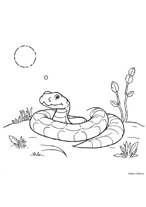 Hognose Yılanı Boyama Sayfası