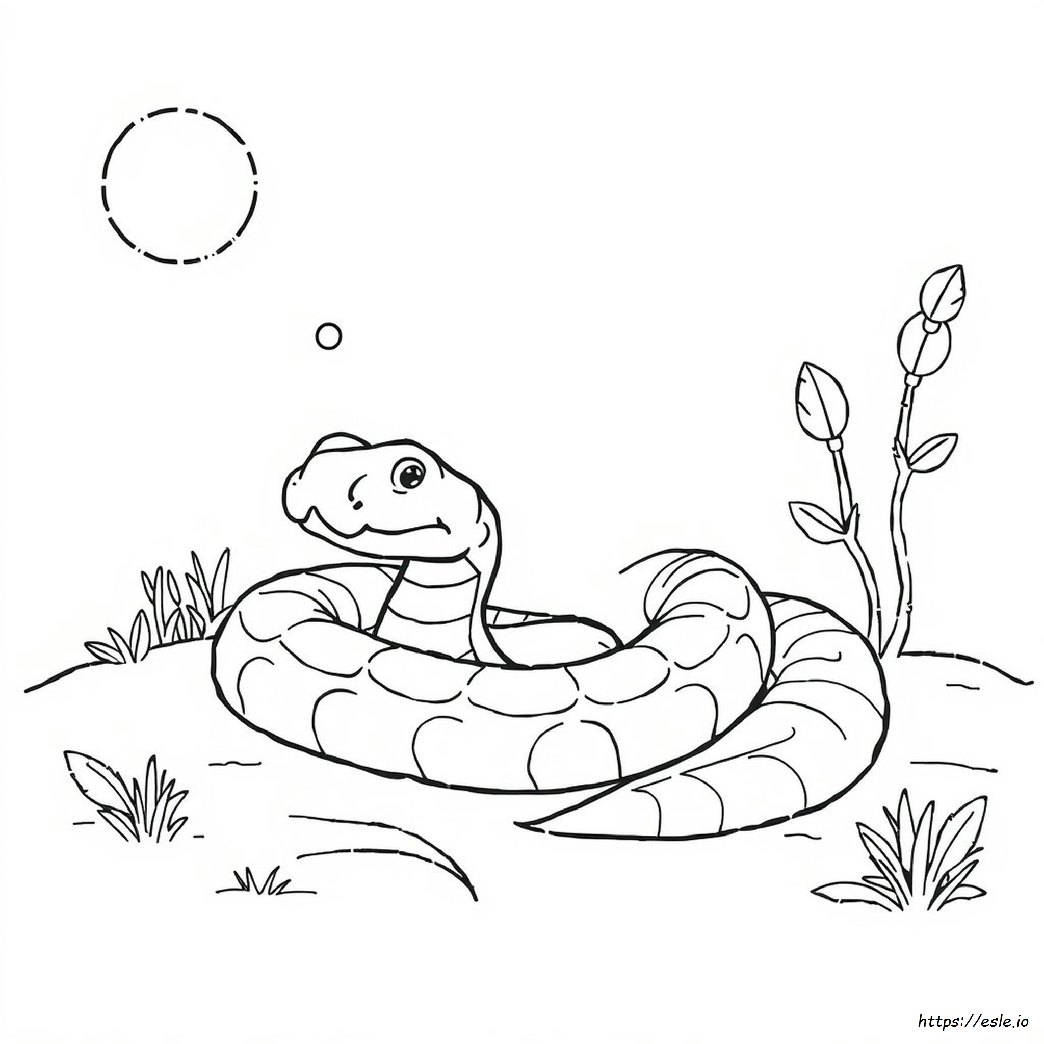 Hognose Snake Coloring Page