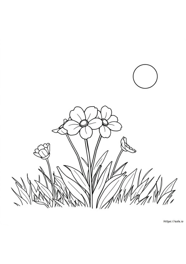 Flores Para Páginas Para Colorear