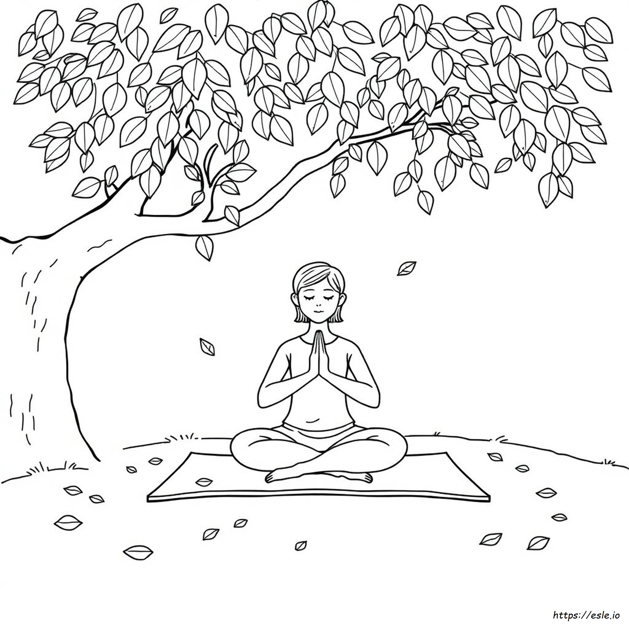 Carte De Colorat Mindfulness