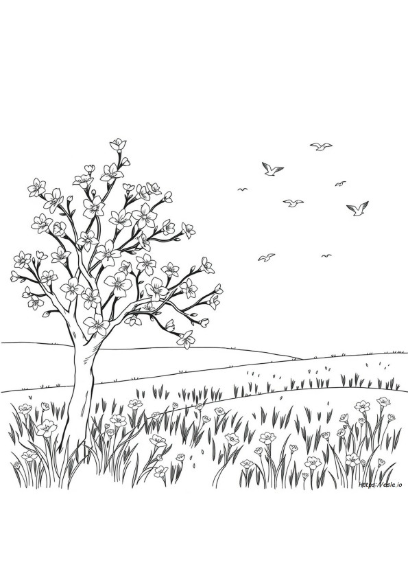 Spring Time Coloring Pages For Adults