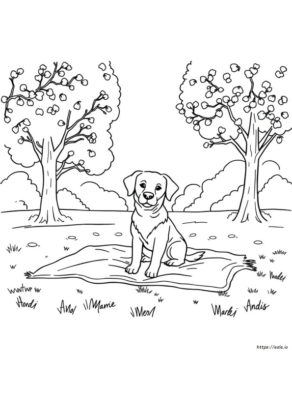 Easy Dog Coloring Pages For Adults