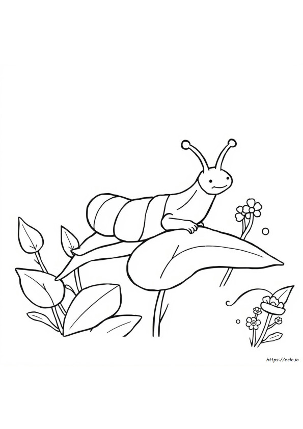 Slug Colouring Pages