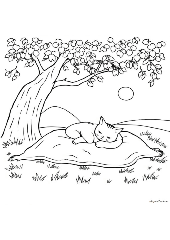 Nap Coloring