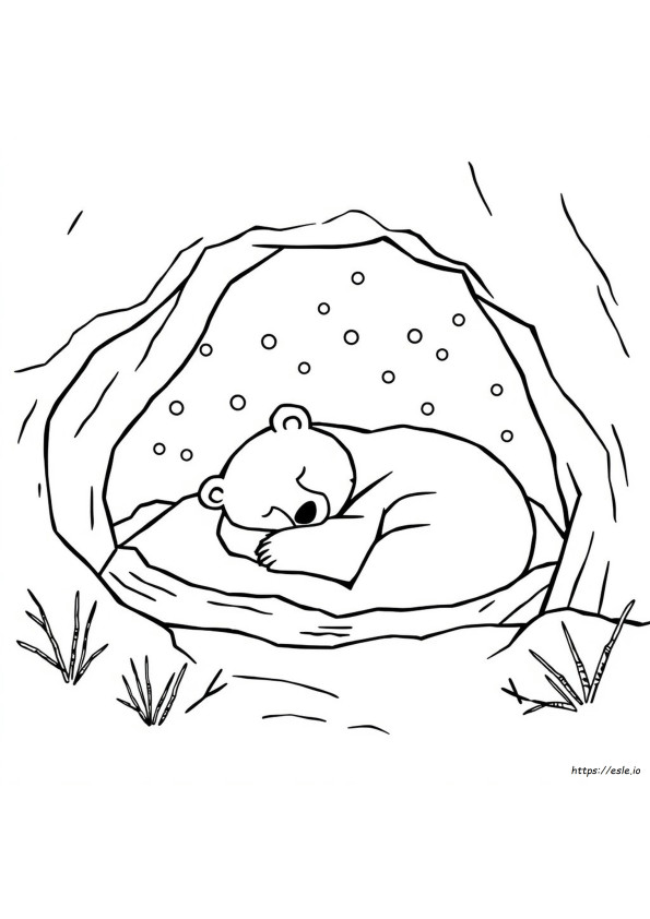 Printable Hibernation Coloring Pages