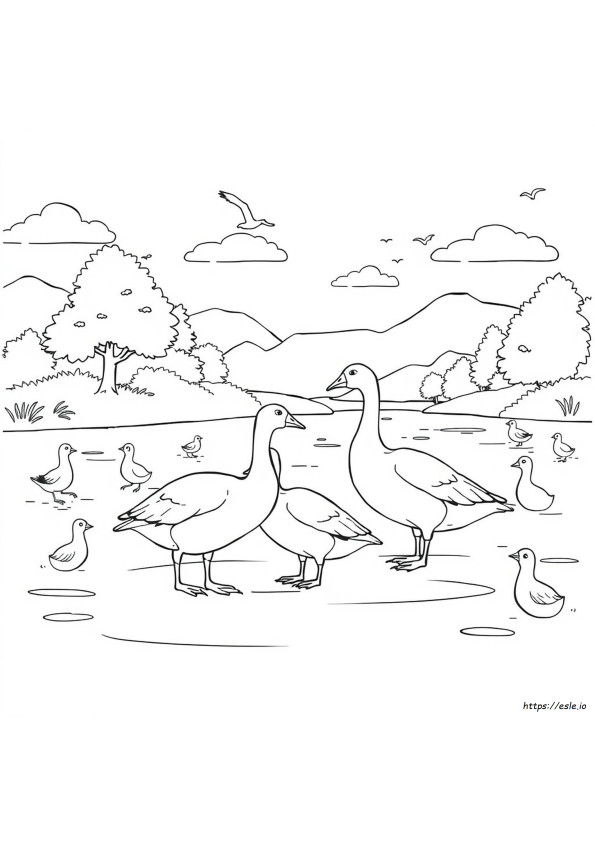 Coloriage: Les Oies Sont-Elles Daltoniennes