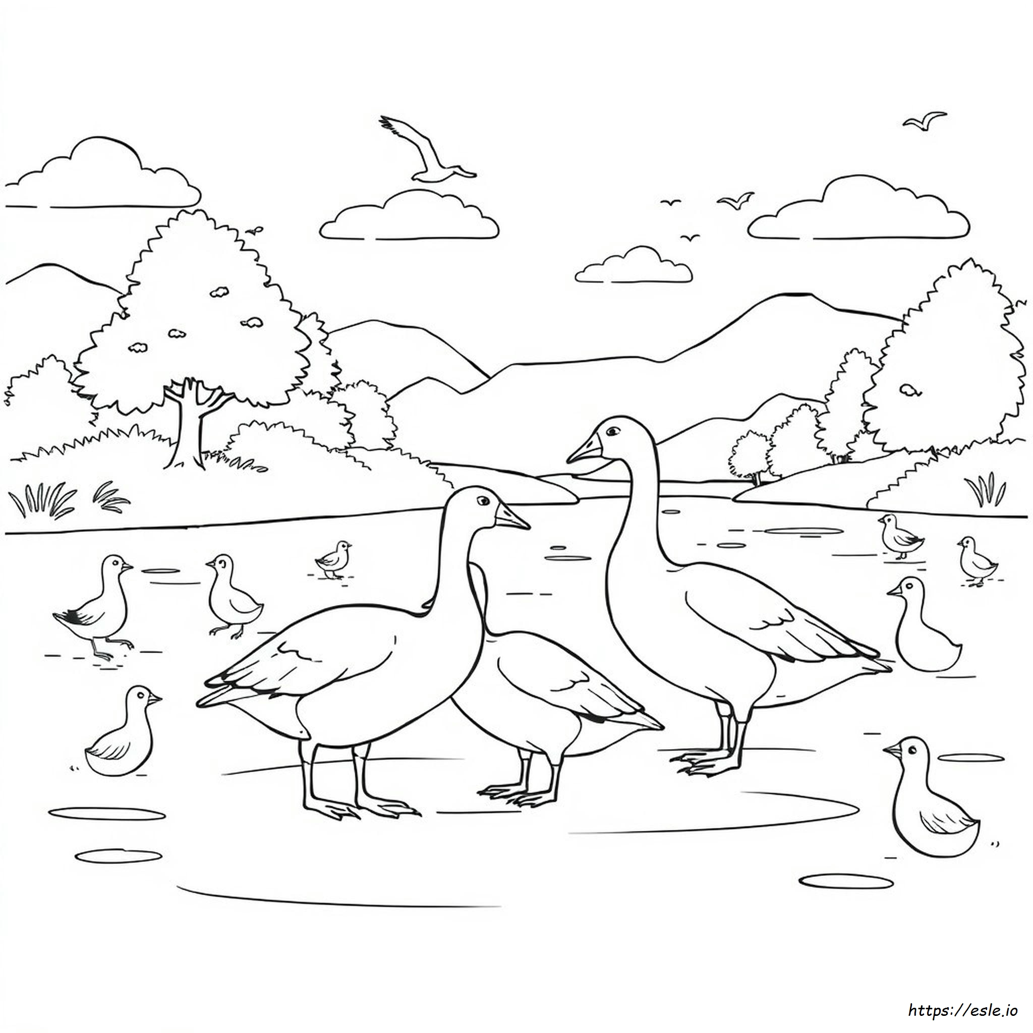 Are Geese Colorblind