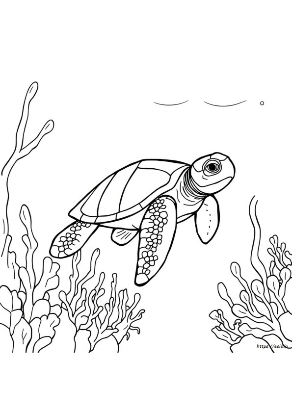 海の生き物 ぬりえ 無料ダウンロード