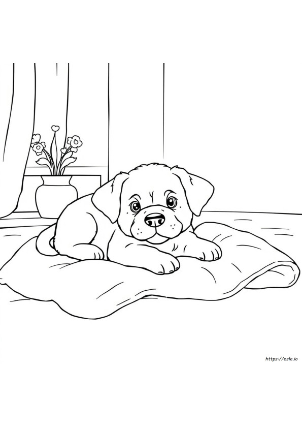 Cute Puppy Coloring Pages For Adults