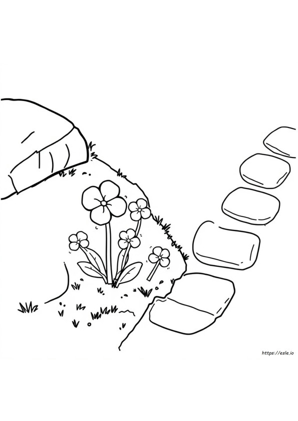 Ideas Para Colorear Tréboles