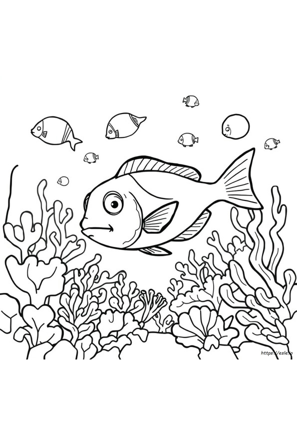 Sea Eater Coloring Pages