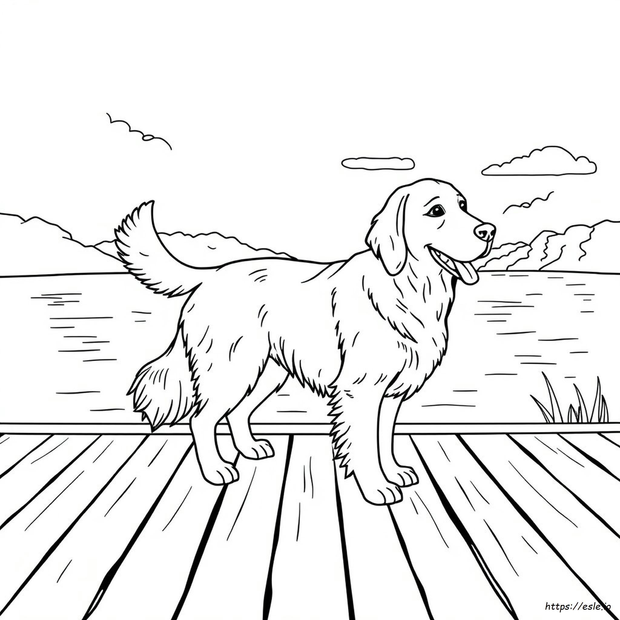 Disegni Da Colorare Gratuiti Di Golden Retriever Stampabili