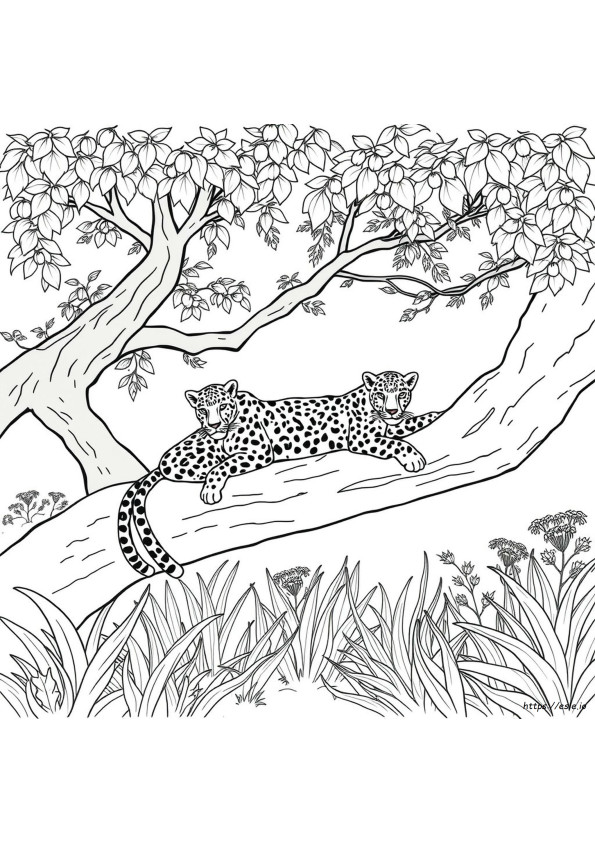 Leopard Coloring Sheet