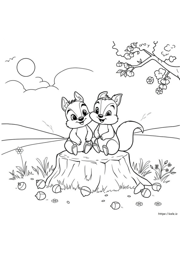 Chip Und Dale Ausmalbilder