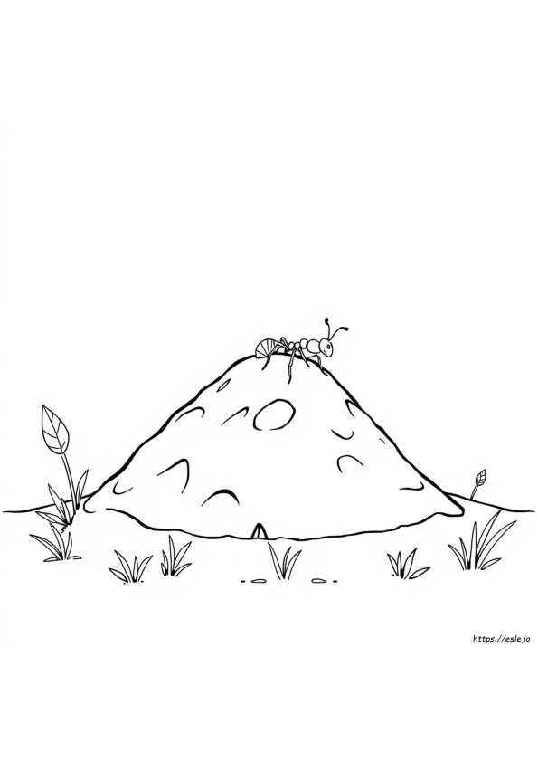How To Colour Ant