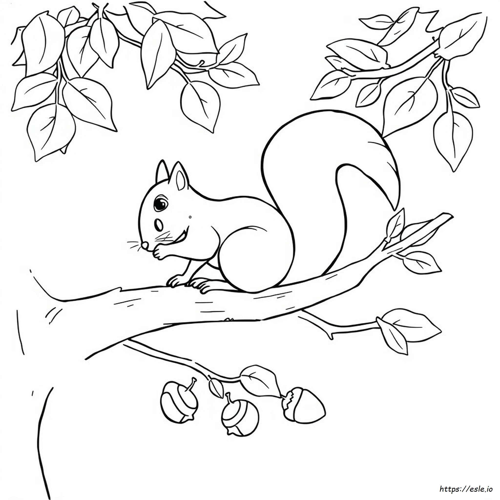 Printable Coloring Pages Of Squirrels printable-coloring-pages-of-squirrels