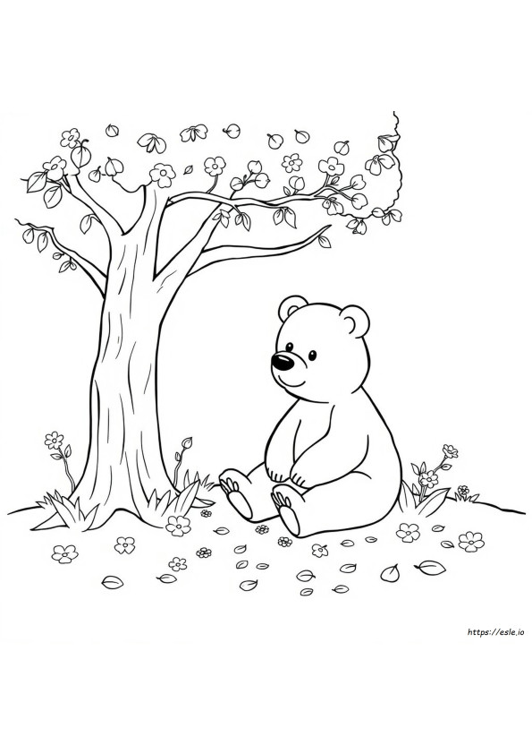 Bear Coloring Pages For Preschoolers