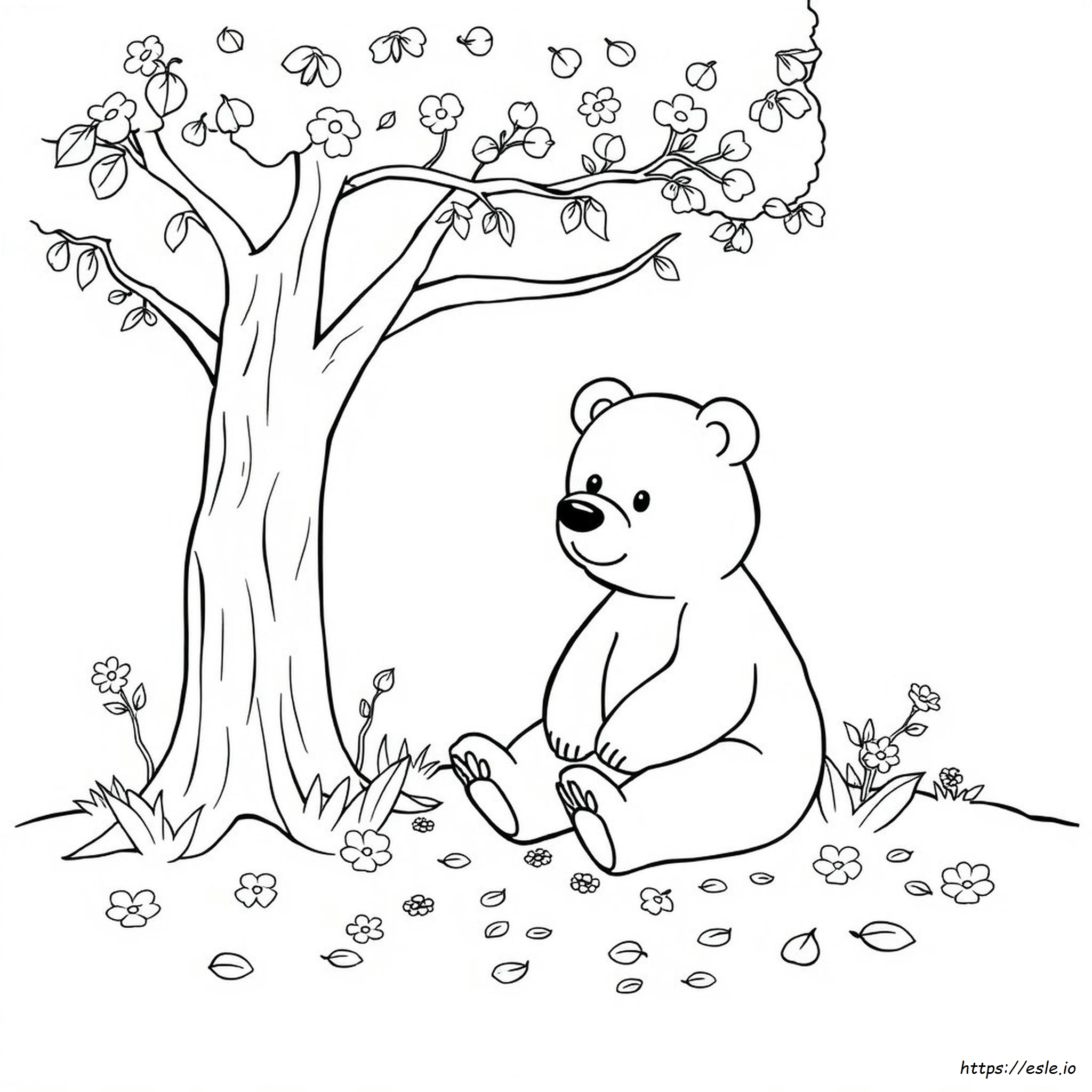 Bear Coloring Pages For Preschoolers