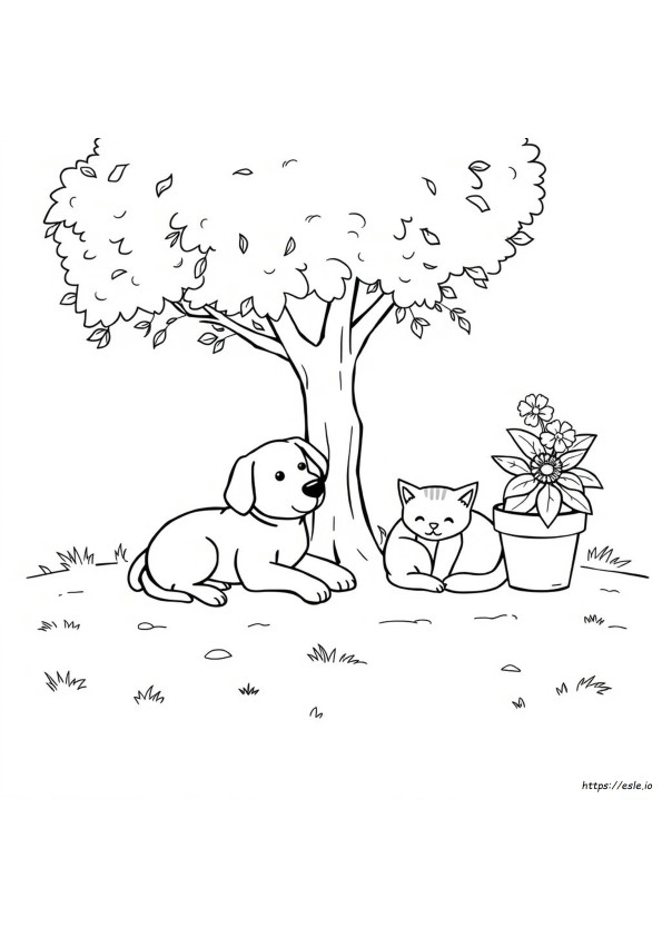 Disegni Da Colorare Cane Giorno E Pisolino Gatto