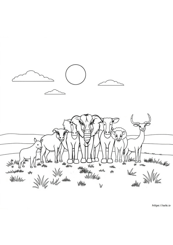 Animorphia Colouring Pages