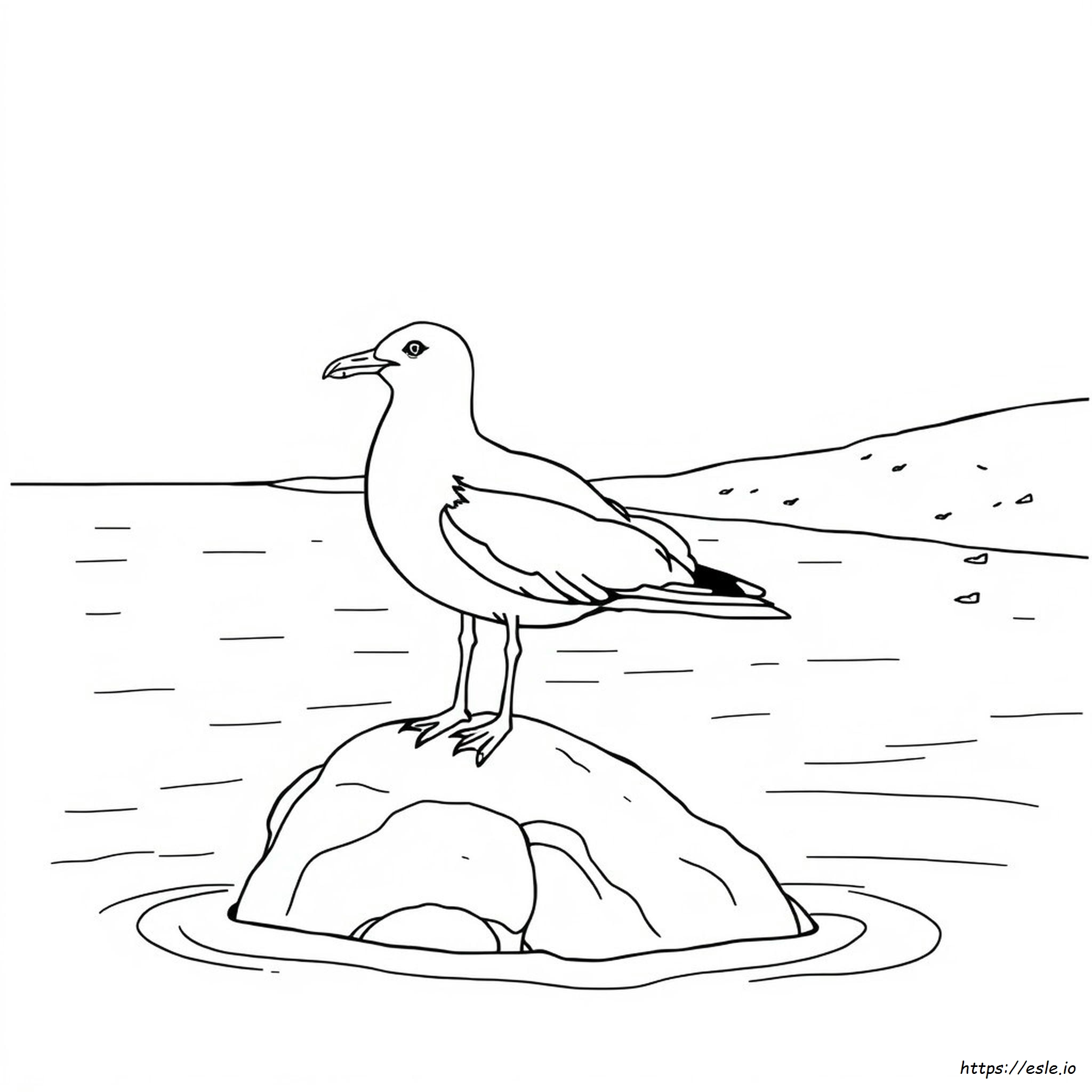 Sea Gull Coloring Page