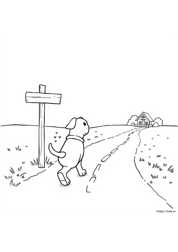 Homeward Bound Coloring Pages