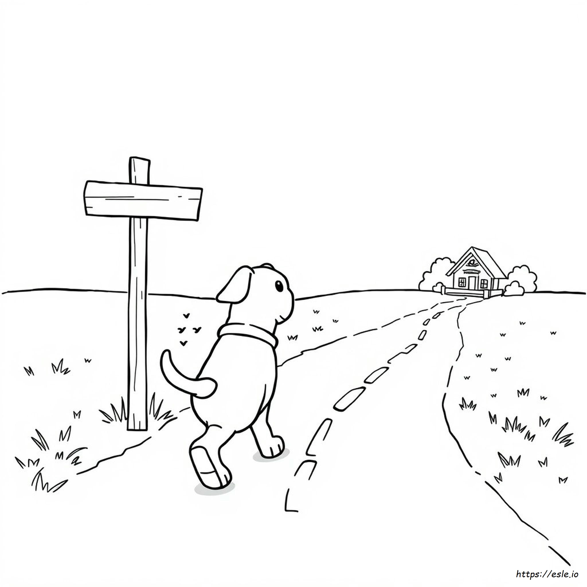 Matkalla Kotiin Värityskuvat