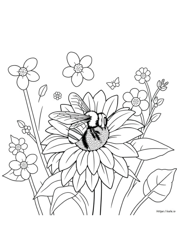 Páginas Para Colorear De Abejas