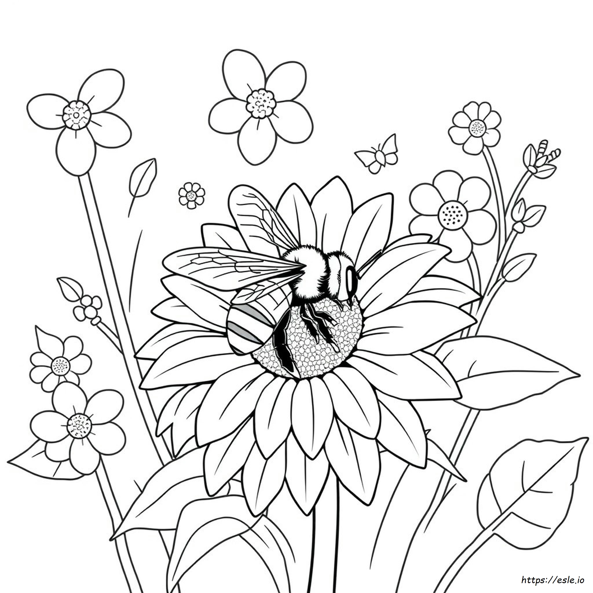 Honeybee Colouring Pages