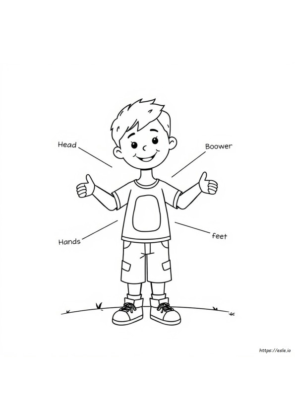 Parts Of The Body Coloring Pages For Preschool
