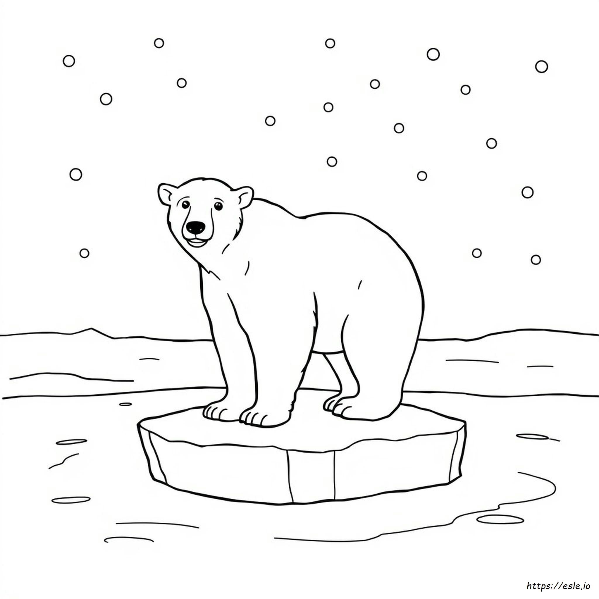 Urs Polar De Colorat