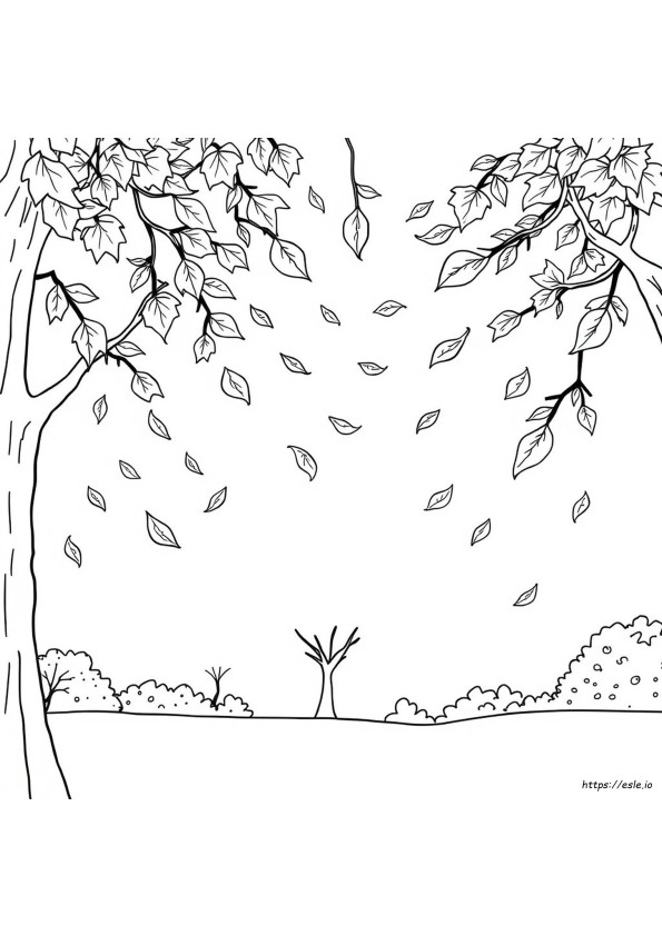 Fall Leaves Coloring Pages
