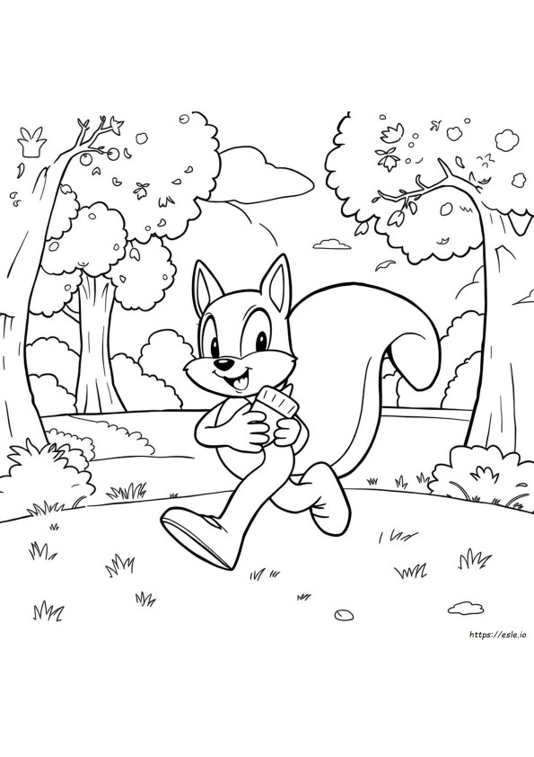 Big The Cat Sonic Coloring Pages