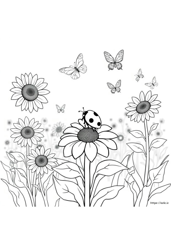 Coloring Pages Of Ladybug