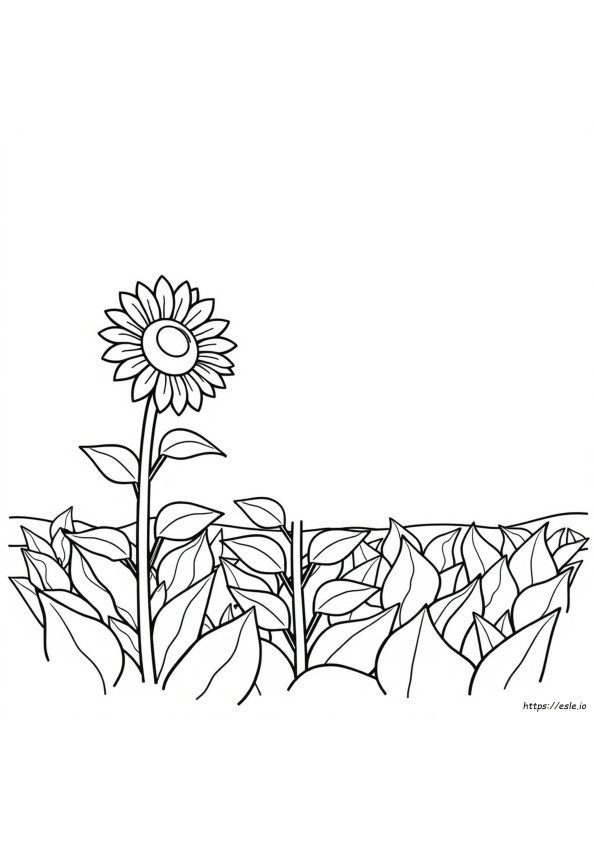 Easy Coloring