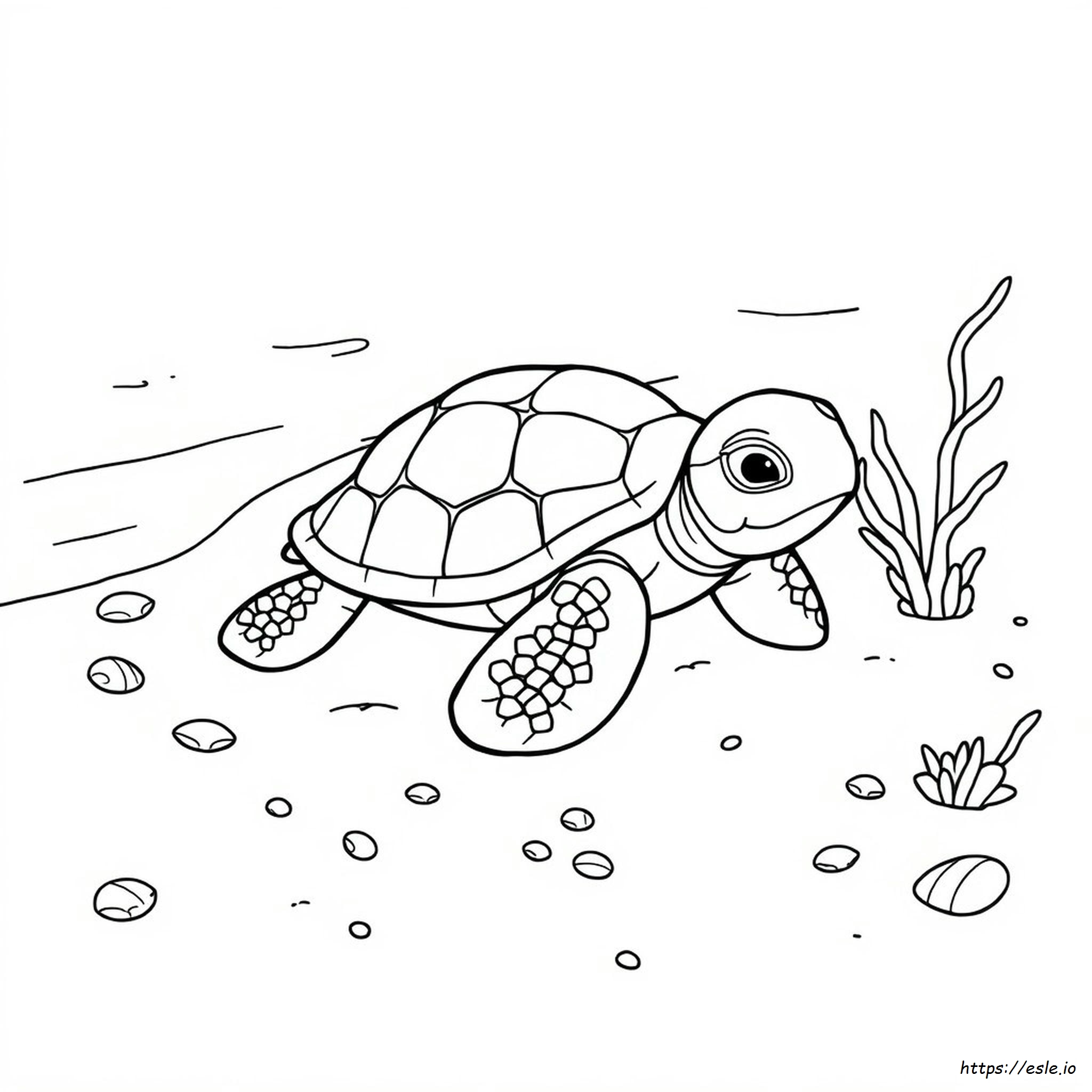 Baby Sea Turtle Coloring Page