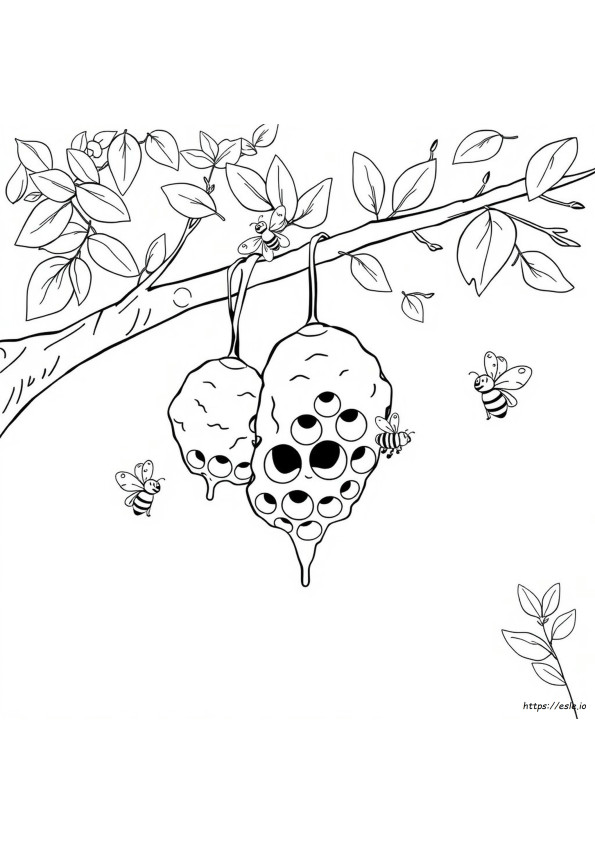 Honeycomb Coloring Pages