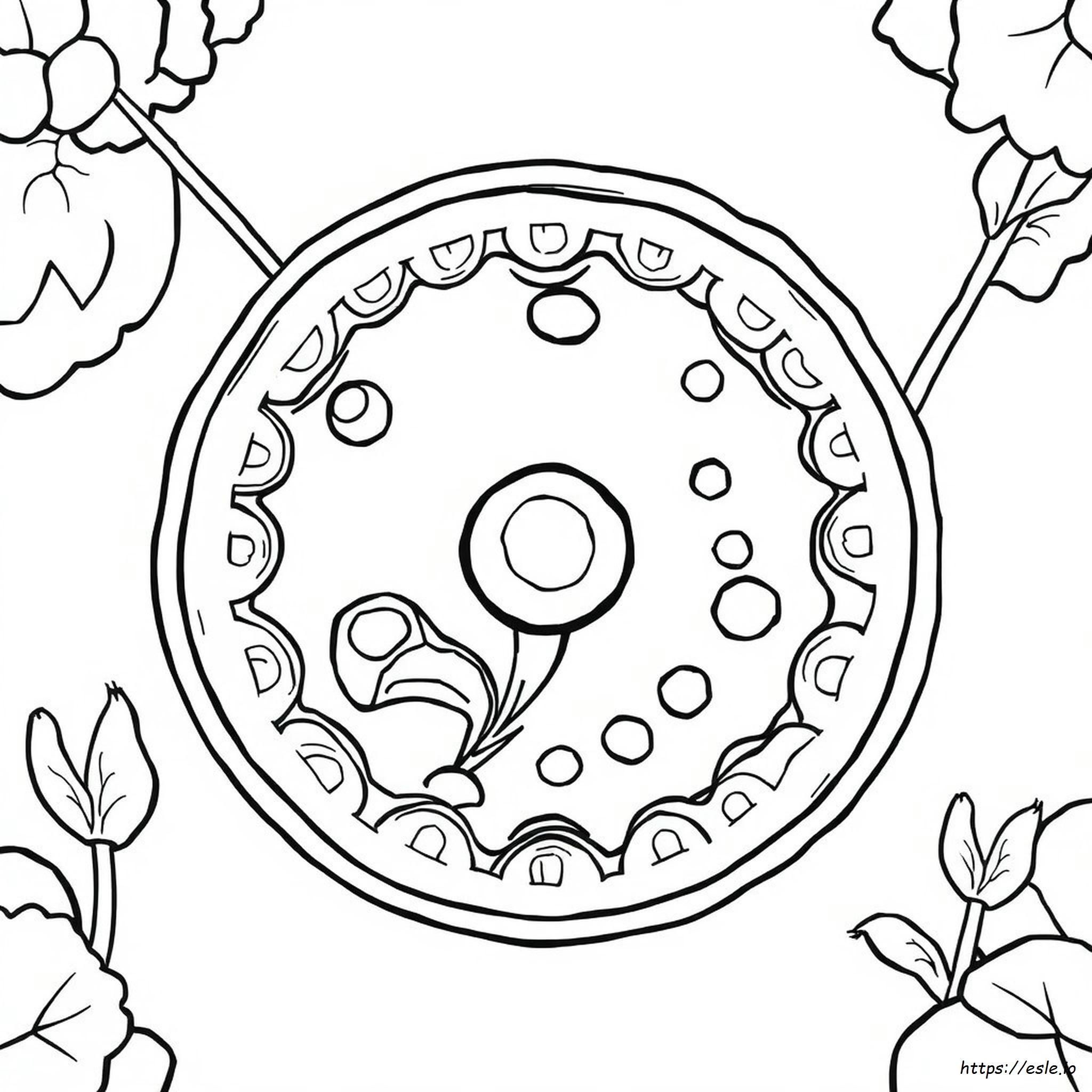 Coloriage Cellule Végétale: Réponses D'un Biologiste