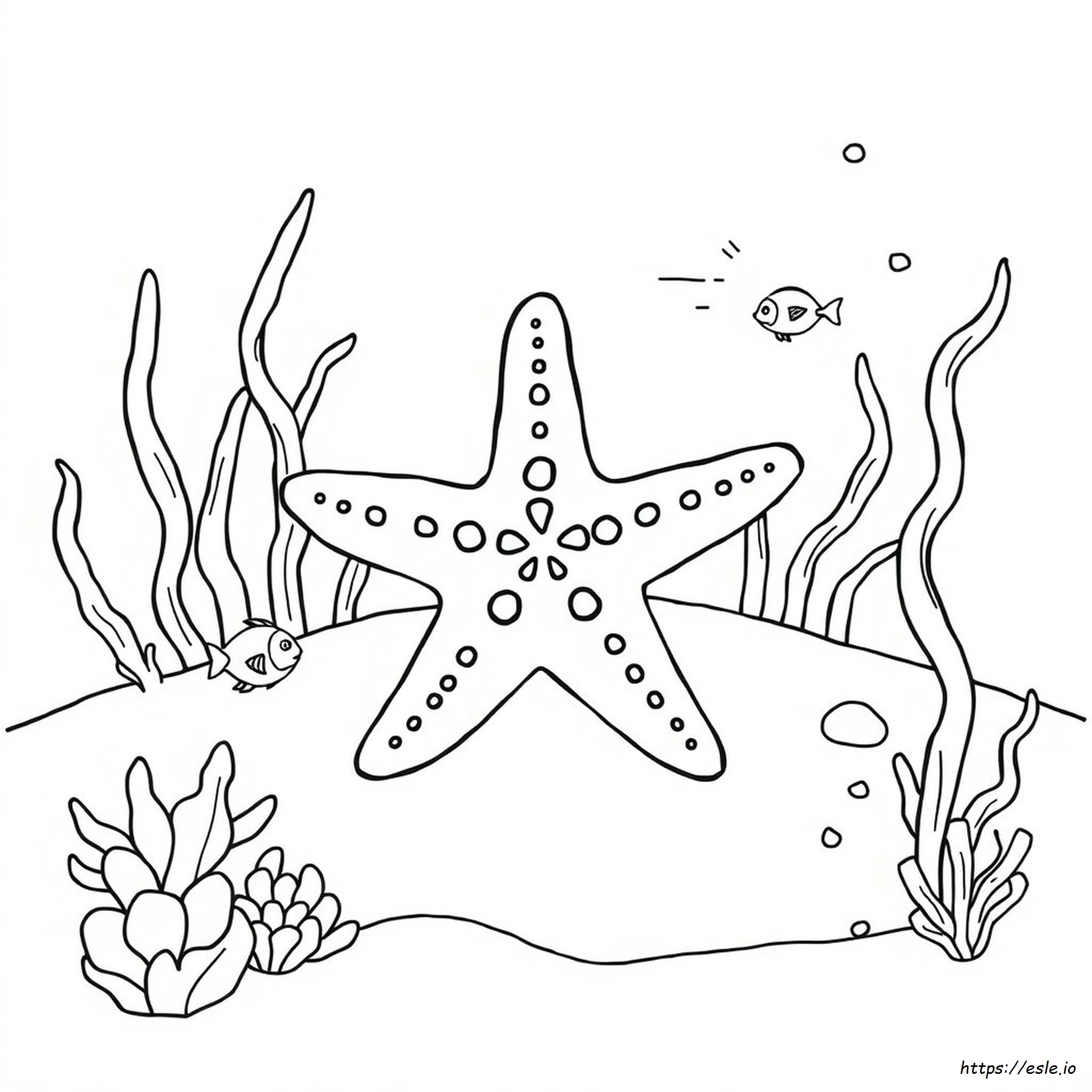 Starfish Coloring Pages For Preschoolers