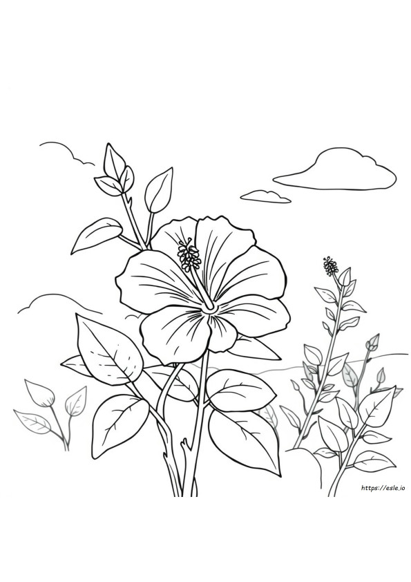 Kolorowanki Z Hibiskusem
