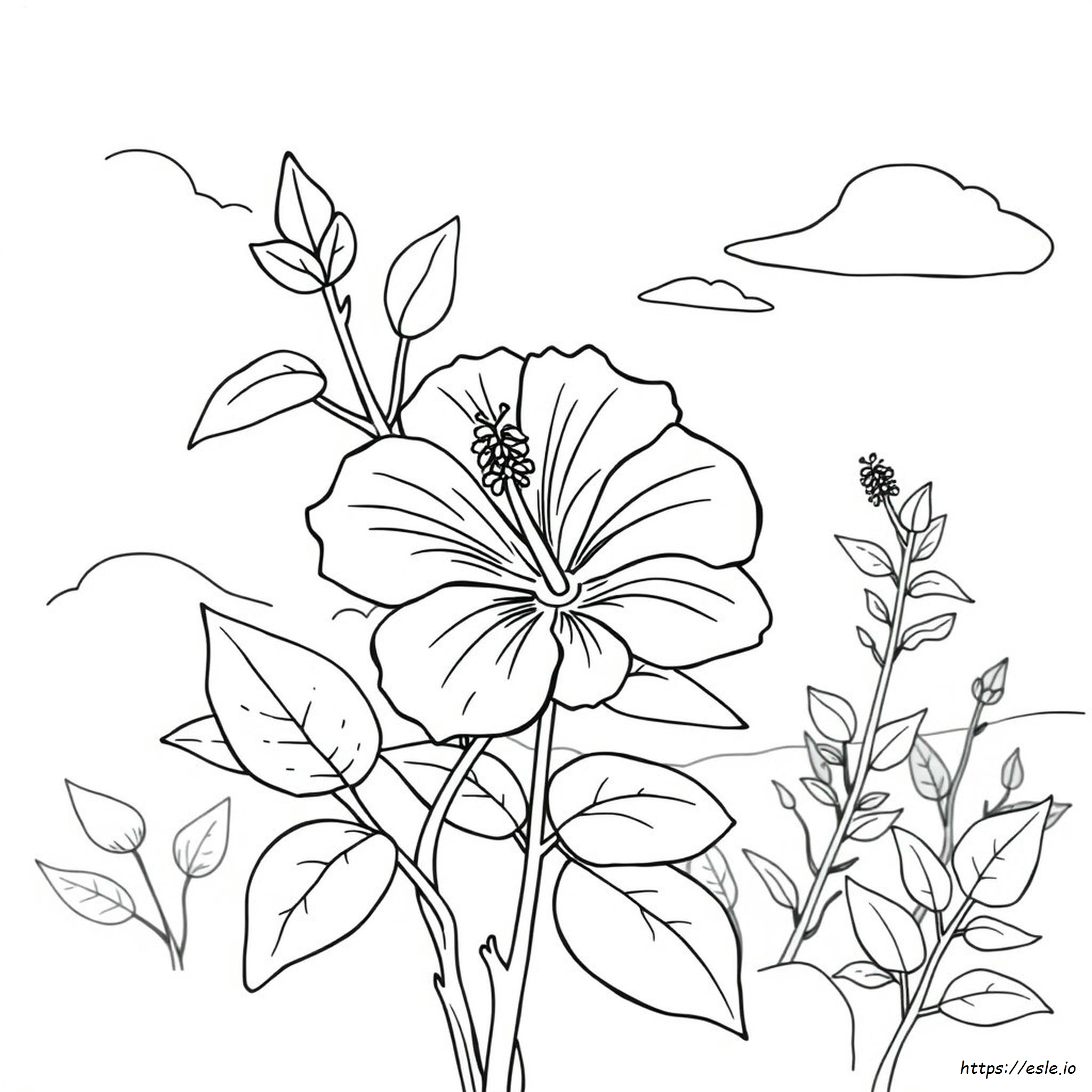 Hibiscus Flower Colouring Pages