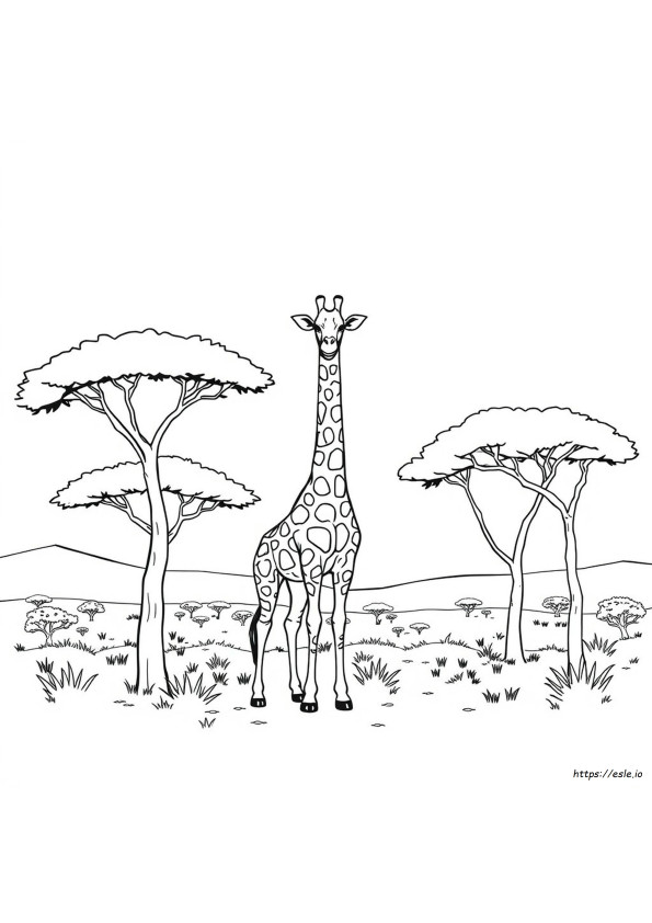 キリンのぬりえ