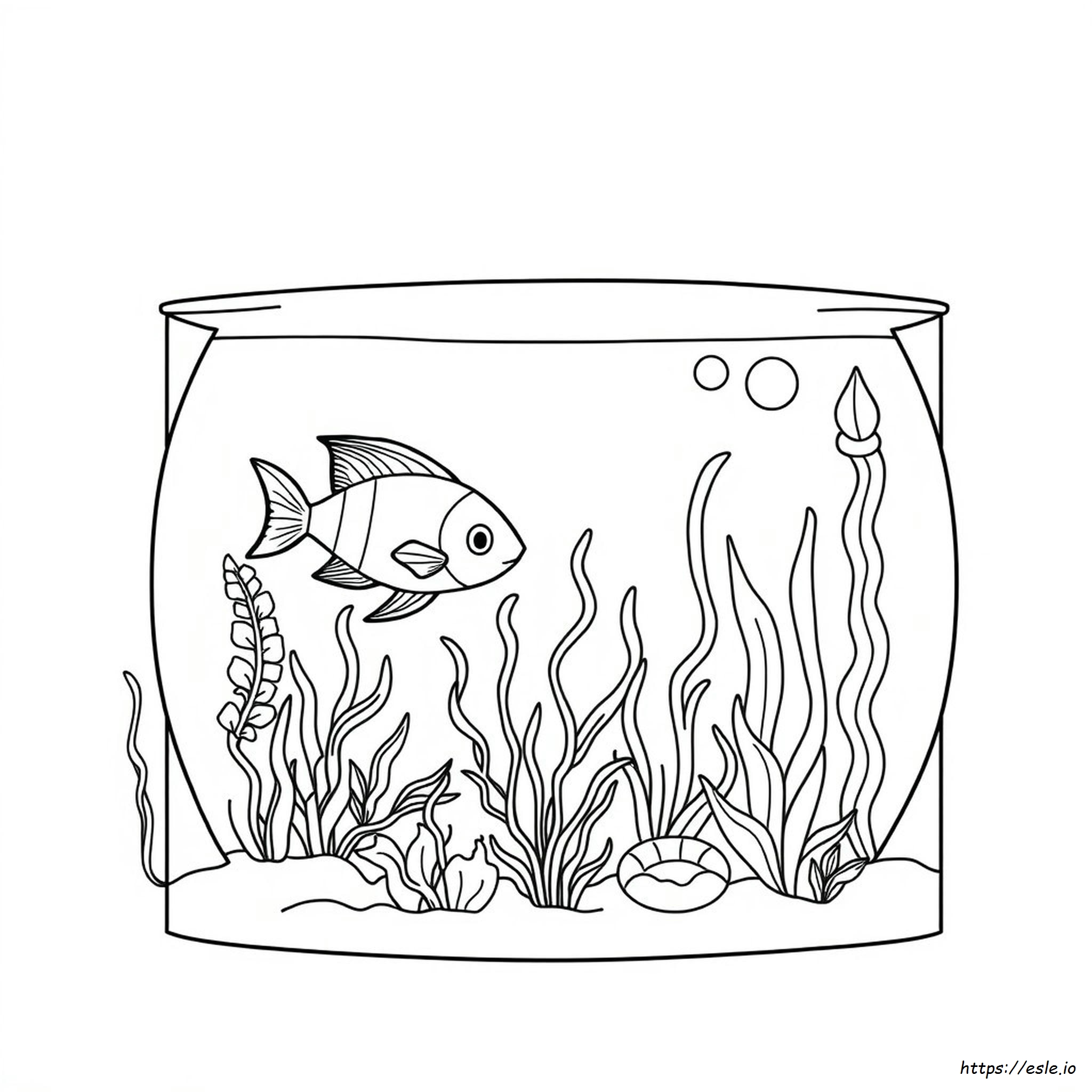 Acquario Da Colorare