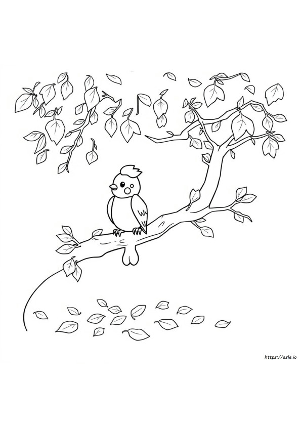 Peck Coloring Page