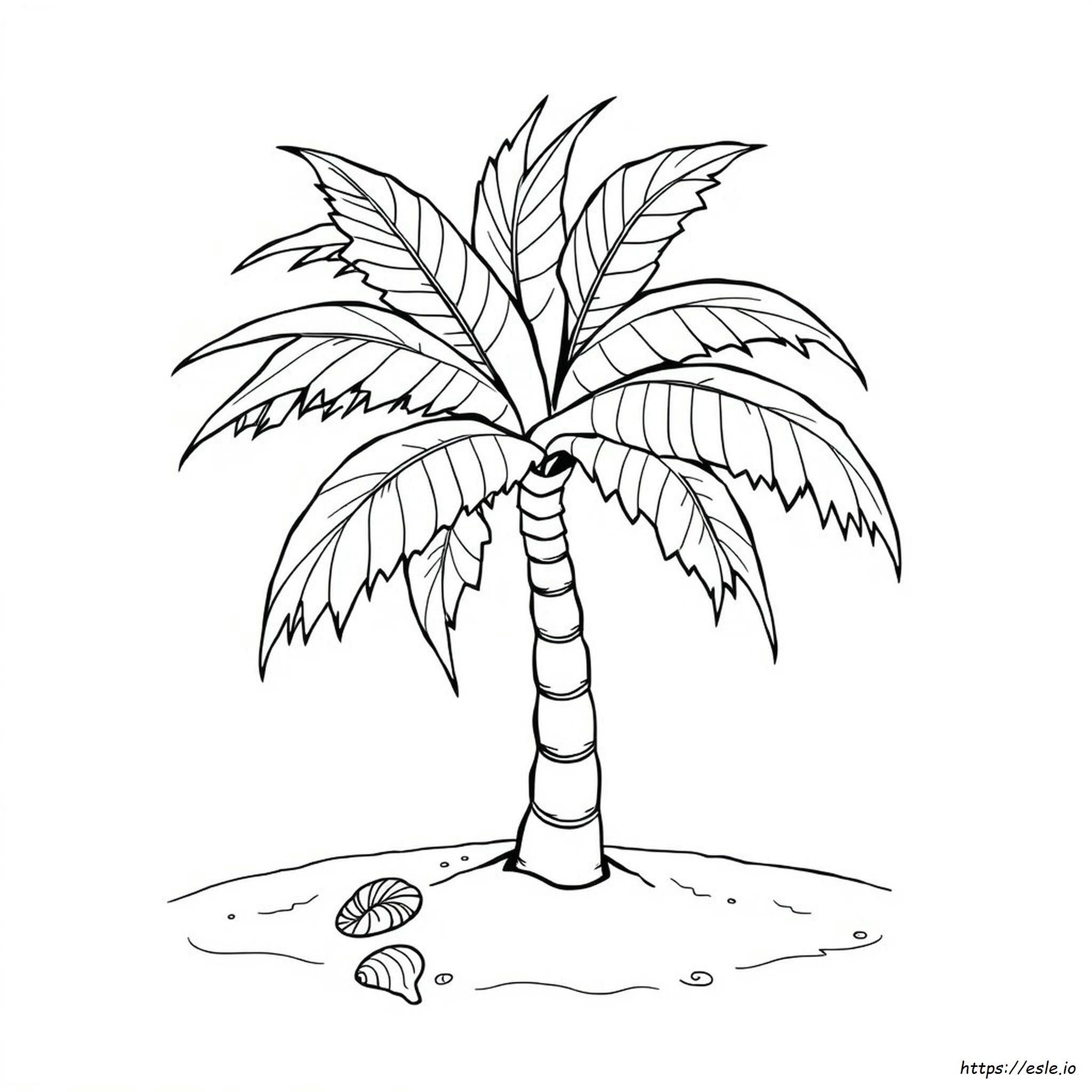Palm Tree Leaves Coloring Pages